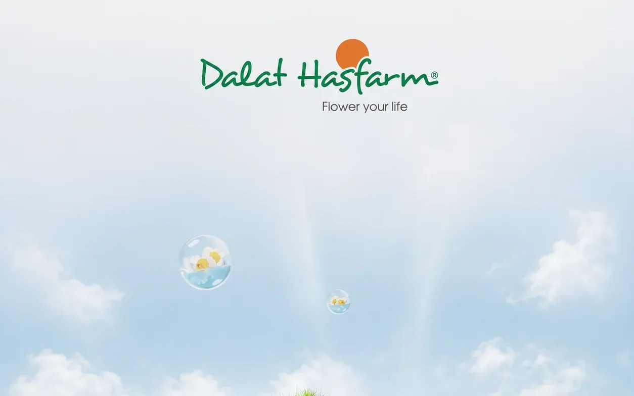 Dalat Hasfarm — Facebook & TikTok Content Campaign