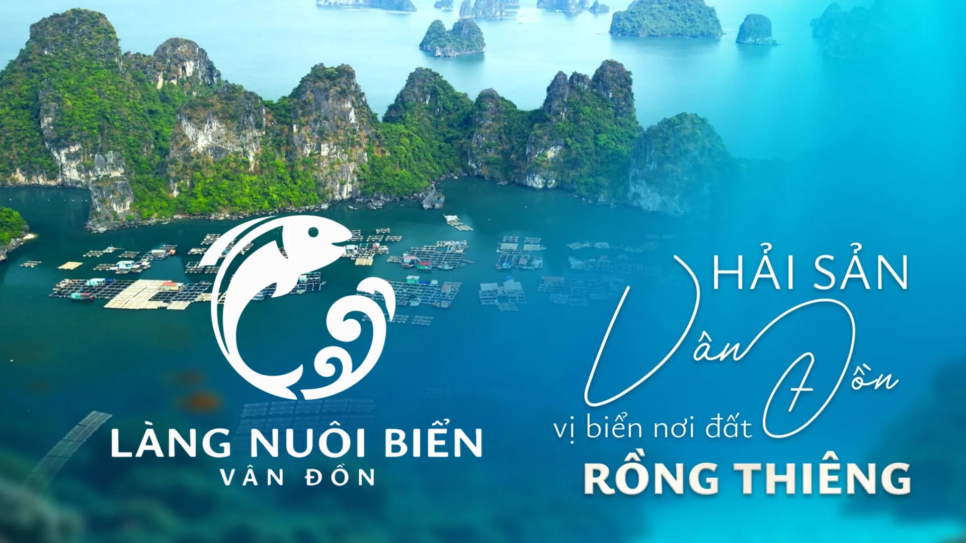 Van Don Sea Village — Full Marketing Ownership