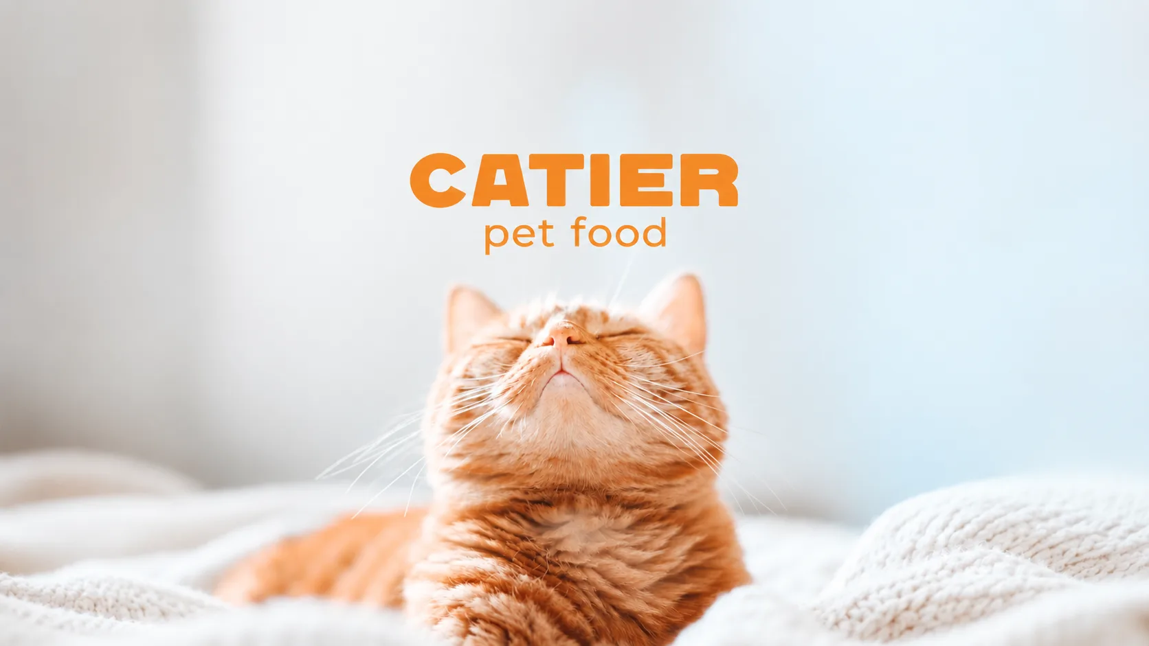 Catier — Fresh Pet Food Marketing & GTM