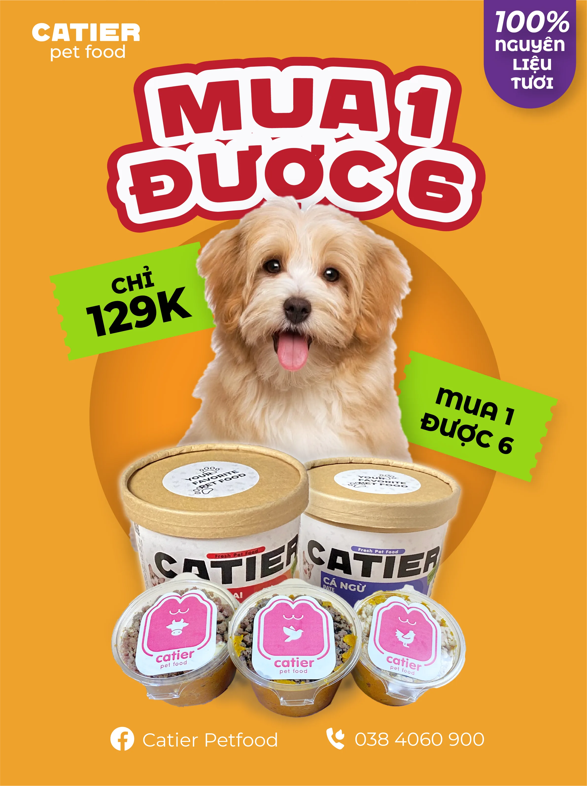 Catier — Fresh Pet Food Marketing & GTM