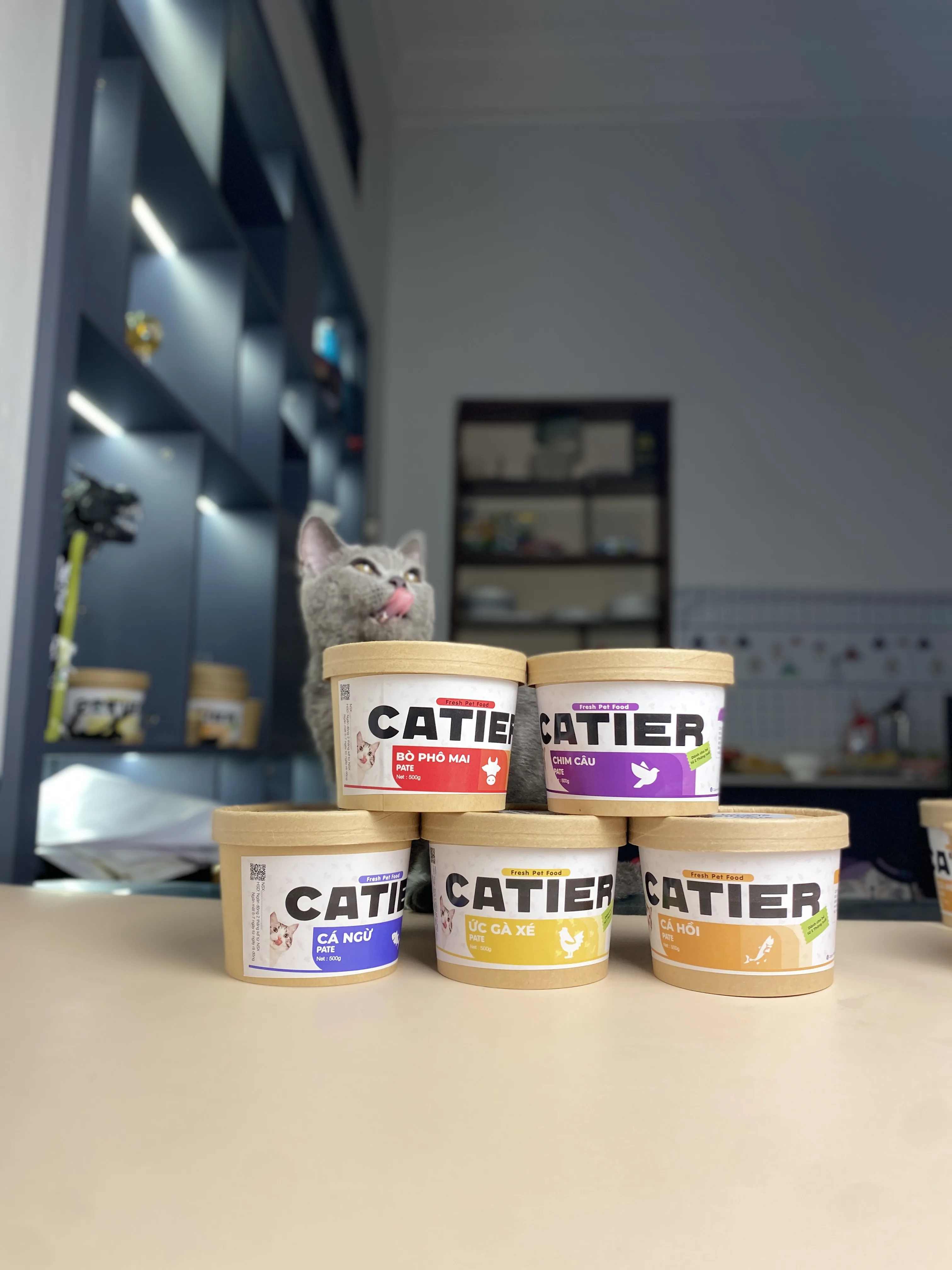 Catier — Fresh Pet Food Marketing & GTM
