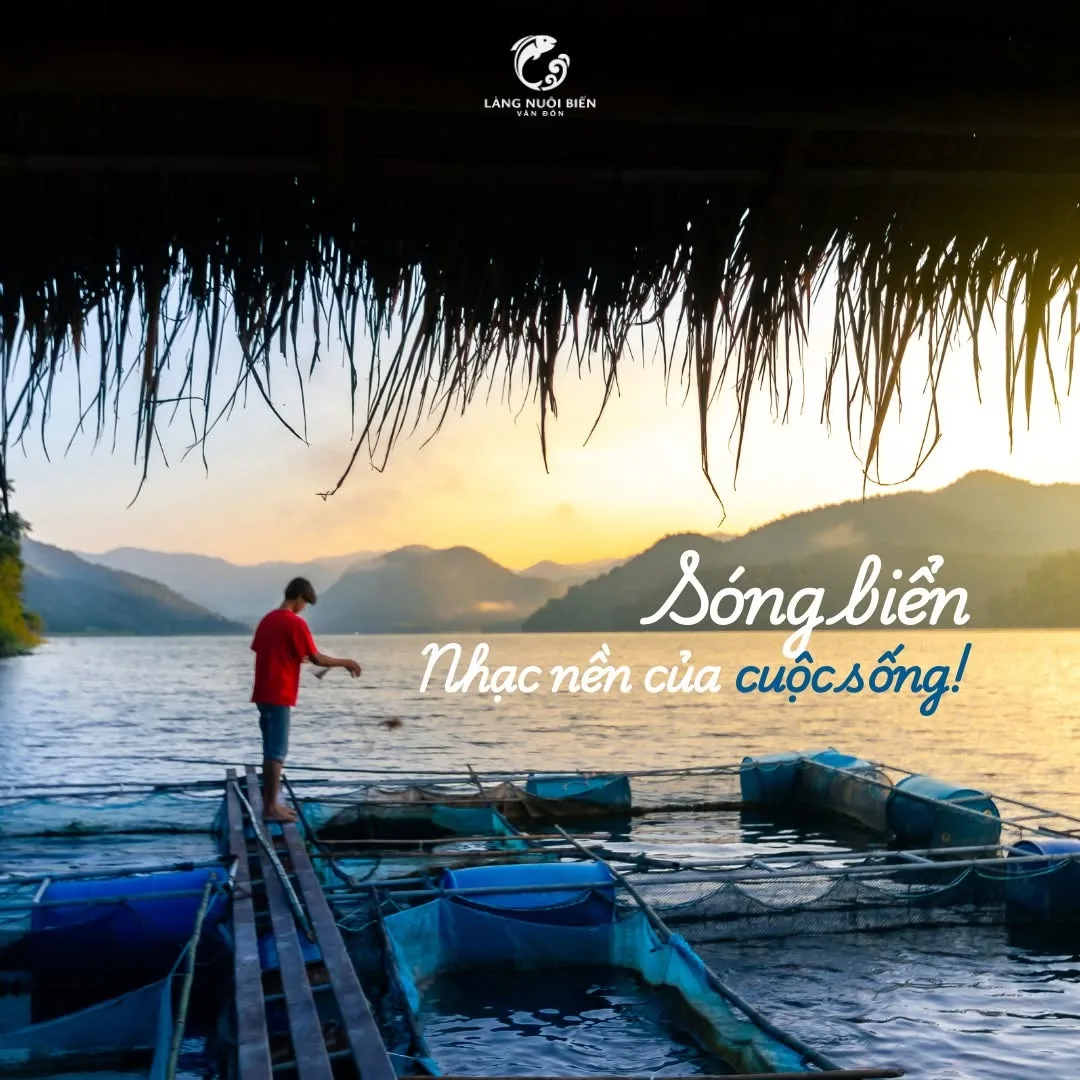 Làng Nuôi Biển Vân Đồn